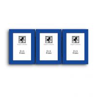 Elegant Arts And Frames Triple Blue Photo Frame