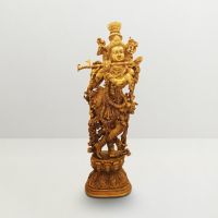 Pure Divine Krishna Standing Golden