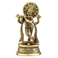Pure Divine Standing Lord Krishna