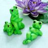Shilp_Frog_3_In_1.jpg