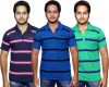 Fanatic_Striped_Men_s_Polo_Neck_T_S_18.jpg