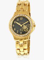 Olvin 1698 Ym03 Golden/Black Analog Watch