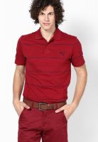 Puma Red Polo T-Shirts