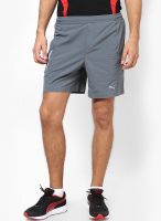 Puma Grey Shorts