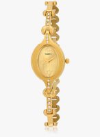 Timex M300-Sor Golden/Golden Analog Watch