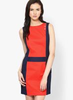 Nautica Red Colored Solid Shift Dress