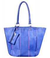 Aahana Two In One Blue Shoulder Bag