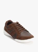 Z Collection Brown Lifestyle Shoes