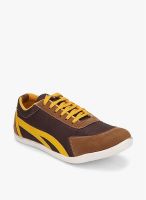 Z Collection Brown Lifestyle Shoes