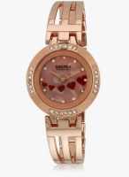 Exotica Fashion Golden Metal Analog Watch