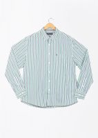 Allen Solly Men's Striped Casual Blue, White, Green Shirt