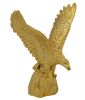 Divya_Mantra_Feng_Shui_Golden_Eagle.jpg