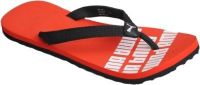 Puma Flip Flops