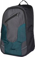 Zwart UDIVO 20 L Medium Laptop Backpack(Grey And Green)