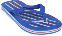 Desmond Mens Hawai Flip Flops