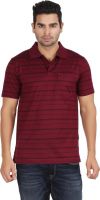 Moonwalker Striped Men's Polo Neck Maroon T-Shirt