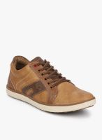 BCK Tan Lifestyle Shoes By Buckaroo