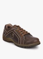 BCK Brown Lifestyle Shoes By Buckaroo