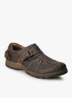 BCK Brown Lifestyle Shoes By Buckaroo
