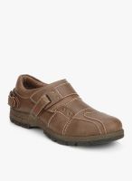 BCK Brown Lifestyle Shoes By Buckaroo