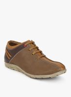 BCK Brown Lifestyle Shoes By Buckaroo