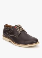 BCK Brown Lifestyle Shoes By Buckaroo