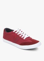 North Star Andrew Maroon Sneakers