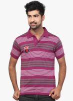 Orange Valley Purple Striped Polo T-Shirt