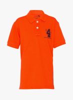 Status Quo Cubs Orange T-Shirt