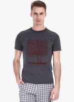 Zobello Grey Printed Round Neck T-Shirt