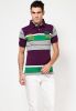 Jogur_Purple_Striped_Polo_T_Shirts_1.jpg