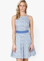 The Vanca Blue Colored Printed Skater Dress