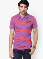 Turtle Blue Striped Polo T-Shirts