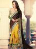 Hypnotex_Coffee_Embroidered_Saree.jpg