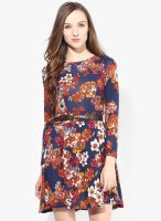 JC Collection Blue Colored Printed Skater Dress