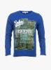 Lumberboy_Blue_T_Shirt_6.jpg