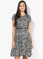 Arrow Woman Black Colored Printed Skater Dress With Belt
