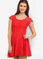 Cation Red Colored Solid Skater Dress