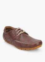 BCK Brown Lifestyle Shoes By Buckaroo BCK Brown Lifestyle Shoes By Buckaroo