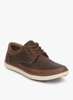 BCK Brown Lifestyle Shoes By Buckaroo