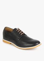 United Colors of Benetton Black Lifestyle Shoes