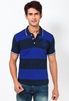 Cherokee Blue Striped Polo T-Shirts