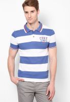 Cherokee Blue Striped Polo T-Shirts