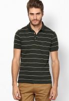 Indian Terrain Olive Striped Polo T-Shirts