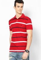 Nautica Red Striped Polo T-Shirts