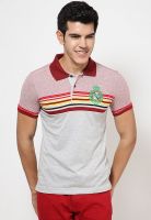 Duke Maroon Striped Polo T-Shirts