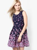 Calgari Blue Colored Printed Skater Dress