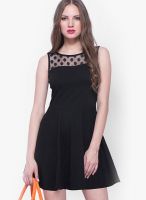 Faballey Black Colored Embroidered Skater Dress