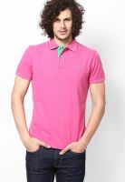 Gant Pink Polo T-Shirts