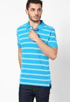 Tommy Hilfiger Blue Danube-Pt / Classic Half Sleeve Polo T-Shirts